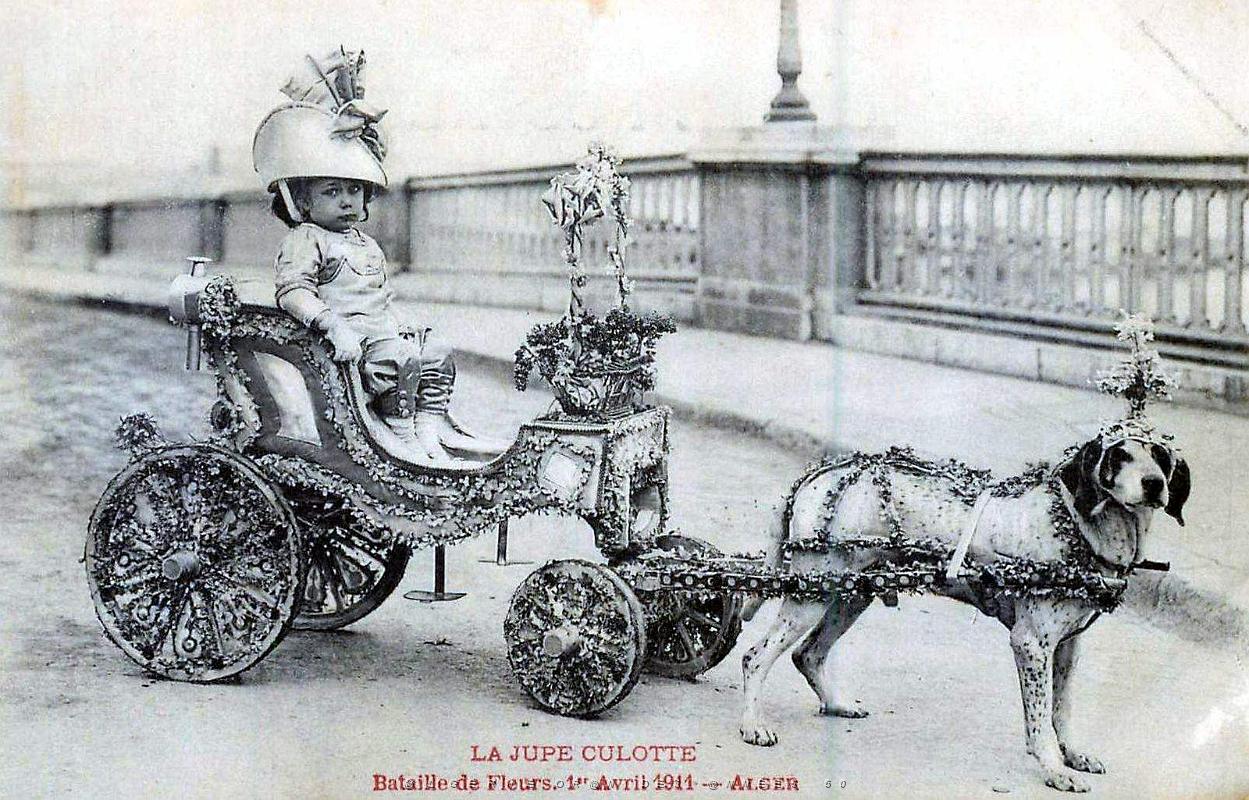 ALGER - BATAILLE DE FLEURS - JUPE CULOTTE - AVRIL 1911.jpg